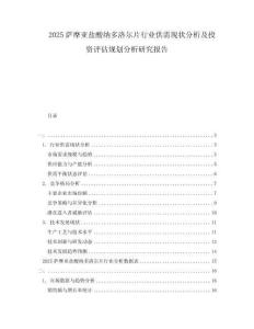 2025薩摩亞鹽酸納多洛爾片行業供需現狀分析及投資評估規劃分析研究報告