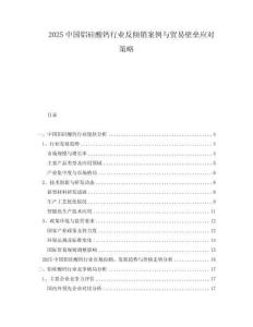 2025中國鋁硅酸鈣行業反傾銷案例與貿易壁壘應對策略