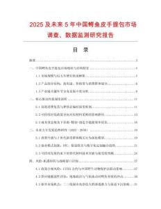 2025及未來5年中國鱷魚皮手提包市場調(diào)查、數(shù)據(jù)監(jiān)測研究報告