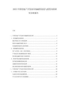 2025中國房地產(chǎn)開發(fā)商市場融資渠道與投資風(fēng)險研究分析報(bào)告