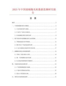 2025年中國滾桶拋光機數(shù)據(jù)監(jiān)測研究報告