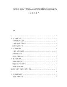 2025商業(yè)地產(chǎn)開發(fā)行業(yè)市場理論調(diào)研及市場規(guī)劃與區(qū)位選擇報告