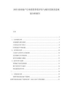 2025商業(yè)地產(chǎn)行業(yè)投資價值評估與城市更新改造規(guī)劃分析報告