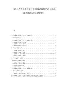 格爾木青海鹽湖化工行業(yè)市場深度調(diào)研與發(fā)展趨勢與投資價(jià)值評估研究報(bào)告