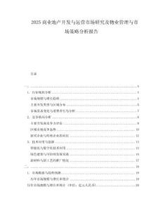 2025商業(yè)地產(chǎn)開發(fā)與運(yùn)營市場研究及物業(yè)管理與市場策略分析報告