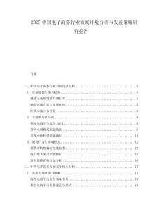 2025中国电子商务行业市场环境分析与发展策略研究报告