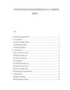 華沙新興科技企業扶持政策效果評估與產業集群發展建議