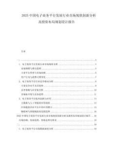 2025中国电子商务平台发展行业市场现状创新分析及投资布局规划设计报告