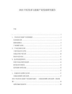 2025中醫(yī)傳承與創(chuàng)新產(chǎn)業(yè)發(fā)展研究報(bào)告