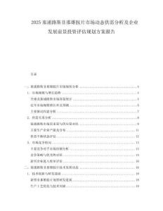2025塞浦路斯非那雄胺片市場(chǎng)動(dòng)態(tài)供需分析及企業(yè)發(fā)展前景投資評(píng)估規(guī)劃方案報(bào)告