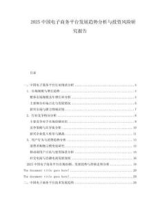 2025中国电子商务平台发展趋势分析与投资风险研究报告