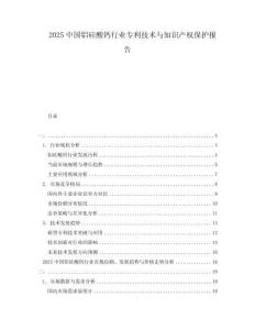 2025中國鋁硅酸鈣行業(yè)專利技術(shù)與知識產(chǎn)權(quán)保護(hù)報告