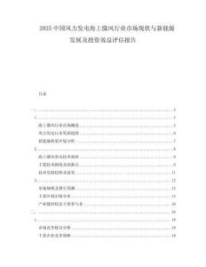 2025中国风力发电海上微风行业市场现状与新能源发展及投资效益评估报告