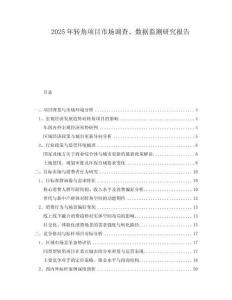 2025年轉(zhuǎn)角項目市場調(diào)查、數(shù)據(jù)監(jiān)測研究報告