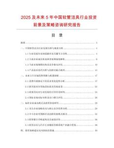 2025及未來5年中國軟管潔具行業投資前景及策略咨詢研究報告