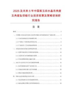 2025及未來5年中國紫玉間水晶吊角度五角星墜項鏈行業(yè)投資前景及策略咨詢研究報告