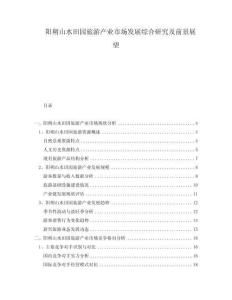 陽(yáng)朔山水田園旅游產(chǎn)業(yè)市場(chǎng)發(fā)展綜合研究及前景展望