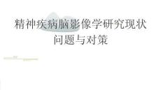 精神疾病腦影像學研究現(xiàn)狀問題與對策2026