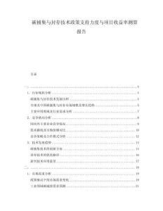 碳捕集与封存技术政策支持力度与项目收益率测算报告