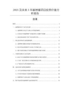 2025及未來5年敲銹錘項目投資價值分析報告