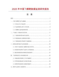 2025年中国飞镖靶数据监测研究报告