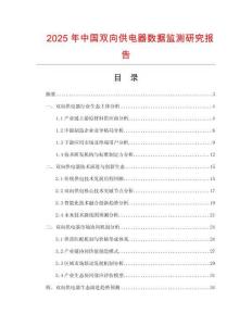 2025年中国双向供电器数据监测研究报告