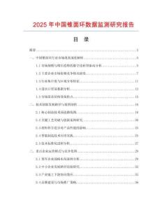 2025年中國錐面環(huán)數(shù)據(jù)監(jiān)測研究報告