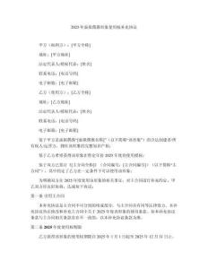 2025年虛擬偶像形象使用權(quán)補(bǔ)充協(xié)議