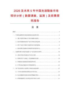2026及未來5年中國充液鞋墊市場現狀分析（數據調查、監測）及前景探究報告