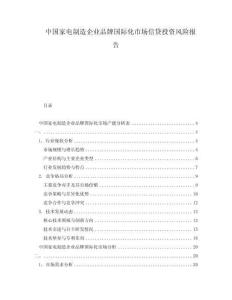中國(guó)家電制造企業(yè)品牌國(guó)際化市場(chǎng)信貸投資風(fēng)險(xiǎn)報(bào)告