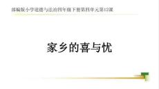 4下4單元第12課《家鄉(xiāng)的喜與憂》