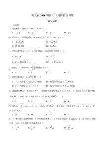 湖北省2026屆高三上學(xué)期11月階段性訓(xùn)練 數(shù)學(xué)試卷