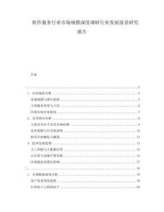软件服务行业市场规模深度调研行业发展前景研究报告