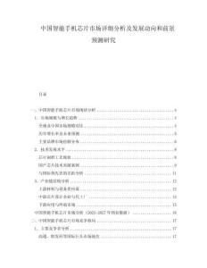 中國智能手機芯片市場詳細(xì)分析及發(fā)展動向和前景預(yù)測研究