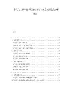 余氣化工聯(lián)產(chǎn)技術(shù)經(jīng)濟性評估與工藝流程優(yōu)化分析報告