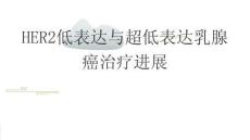 HER2低表達與超低表達乳腺癌治療進展2026