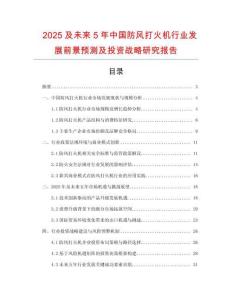 2025及未來5年中國防風打火機行業發展前景預測及投資戰略研究報告