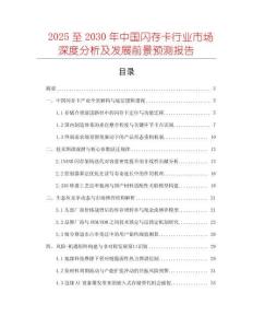 2025至2030年中國閃存卡行業市場深度分析及發展前景預測報告
