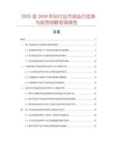2025至2030年鉛行業(yè)市場(chǎng)運(yùn)行態(tài)勢(shì)與投資戰(zhàn)略咨詢報(bào)告