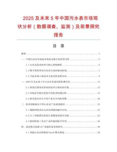 2025及未來5年中國污水表市場現狀分析（數據調查、監測）及前景探究報告