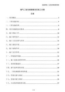 烟气二氧化碳捕集项目施工方案