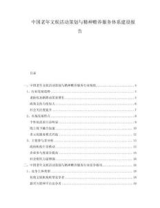 中国老年文娱活动策划与精神赡养服务体系建设报告