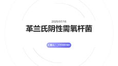 革蘭氏陰性需氧桿菌