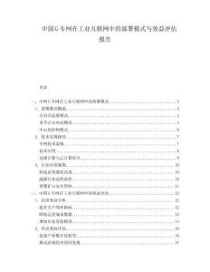 中国G专网在工业互联网中的部署模式与效益评估报告