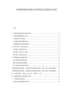 中國(guó)鋰資源供需格局與替代技術(shù)發(fā)展前景分析