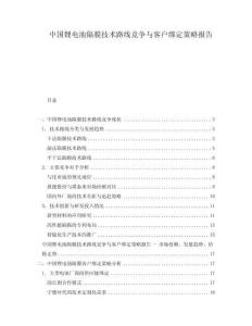 中國鋰電池隔膜技術(shù)路線競爭與客戶綁定策略報告