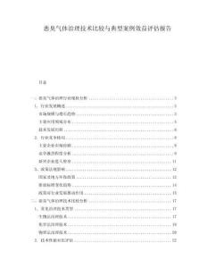 恶臭气体治理技术比较与典型案例效益评估报告