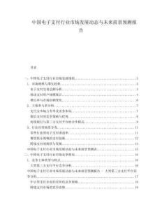 中国电子支付行业市场发展动态与未来前景预测报告