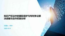 知识产权法中的国际保护与专利争议解决战略与合作机制分析