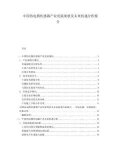 中國熱電偶傳感器產業發展現狀及未來機遇分析報告